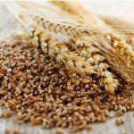 Study reveals how much fiber we should eat to prevent disease 