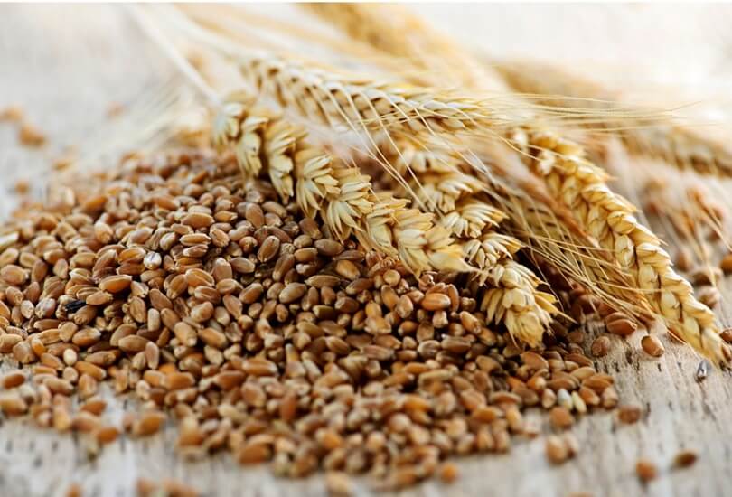 Study reveals how much fiber we should eat to prevent disease 
