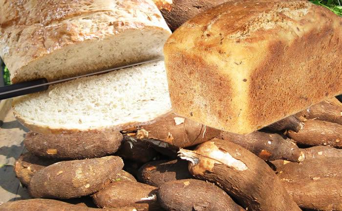 Nigeria’s cassava bread policy falters as millers jettison initiative