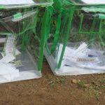 Declare PDP winner of Bayelsa governorship poll, Diri tells INEC