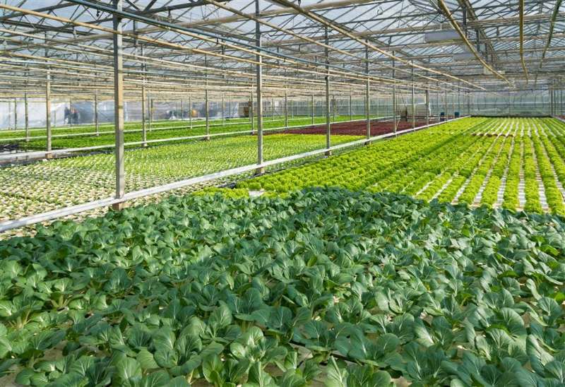 How agritechnology, not just agriculture can define Nigeria’s economic transformation