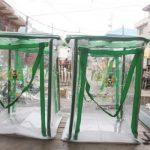 Nigeria faces ‘lost decade’ as economic growth stagnates