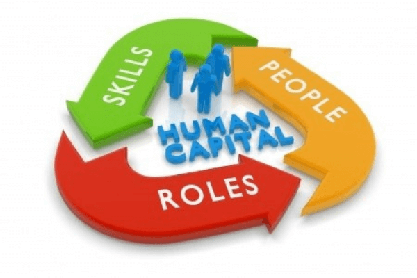 Human capital
