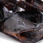 Nigeria loses N576m as ban on catfish export shrinks market