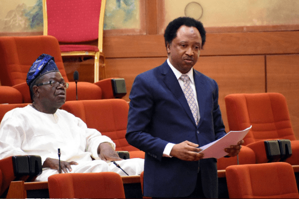 Tribunal grants Senator Shehu Sani leave to inspect electoral materials