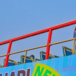 President Buhari needs to be a Lionheart