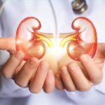 kidney health