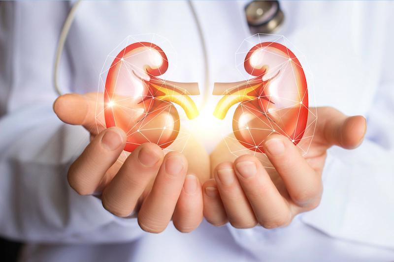 kidney health