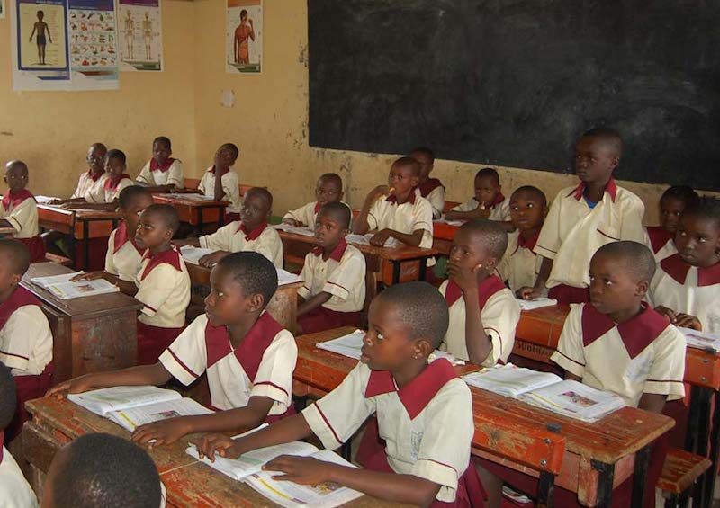 public education and imo