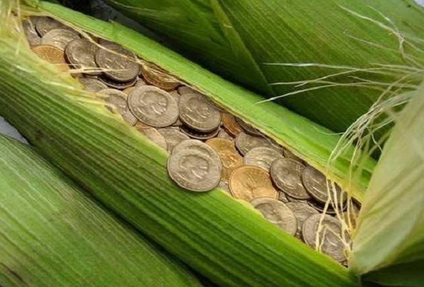 Agri-Entrepreneurship