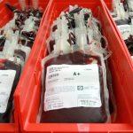 Nigeria’s blood shortage means survival bleak during emergencies 