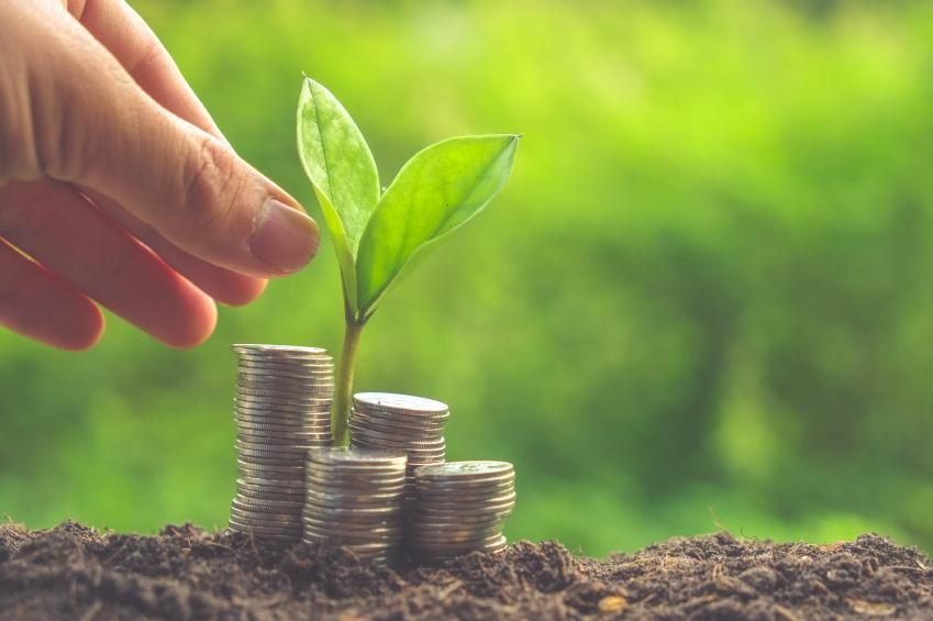 Beyond the grant: Catalysing impact through strategic investment