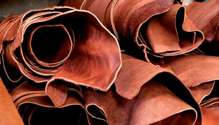 Nigeria’s leather industry