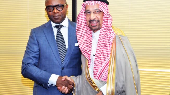 Nigeria-Saudi energy cooperation: Beyond paparazzi