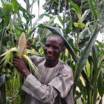 Ogun to boost farmers' productivity with CBN's Anchor Borrowers Initiative