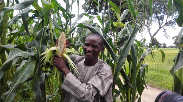 Ogun to boost farmers' productivity with CBN's Anchor Borrowers Initiative