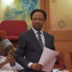 INEC replies Shehu Sani over hiring of El-Rufai lawyer