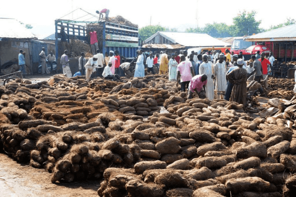 Taraba Yam Market