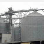 Northern Flour Mills turns the corner to post first full-year profit in five years