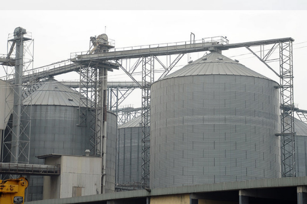 Northern Flour Mills turns the corner to post first full-year profit in five years