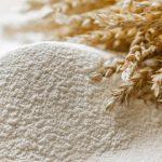 flour industry