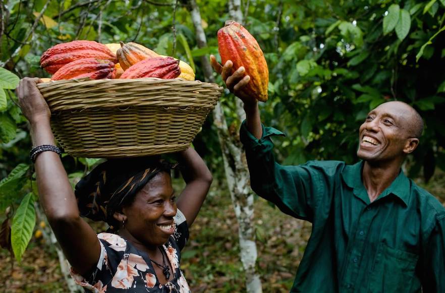 cocoa farmers