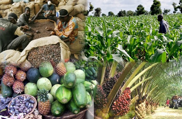 Inside Nigeria’s scandal-plagued Export Expansion Grant scheme