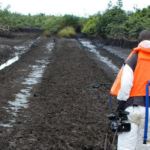 oil exploration in ogoni