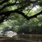 Taraba state tourism