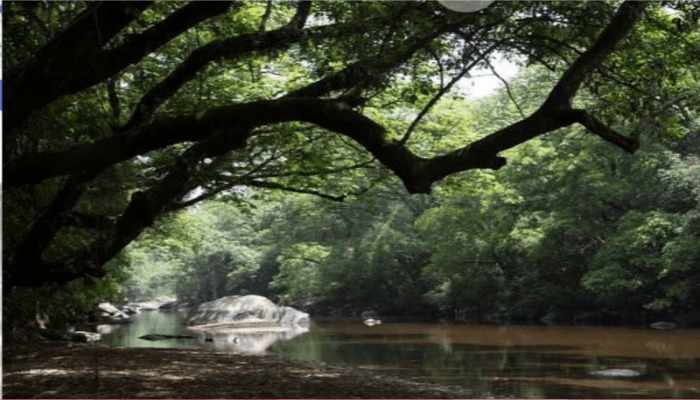 Taraba state tourism