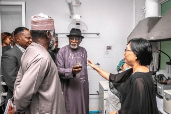 NDLEA boss denies cannabis plan as agency destroys 3,900 hectares in Ondo