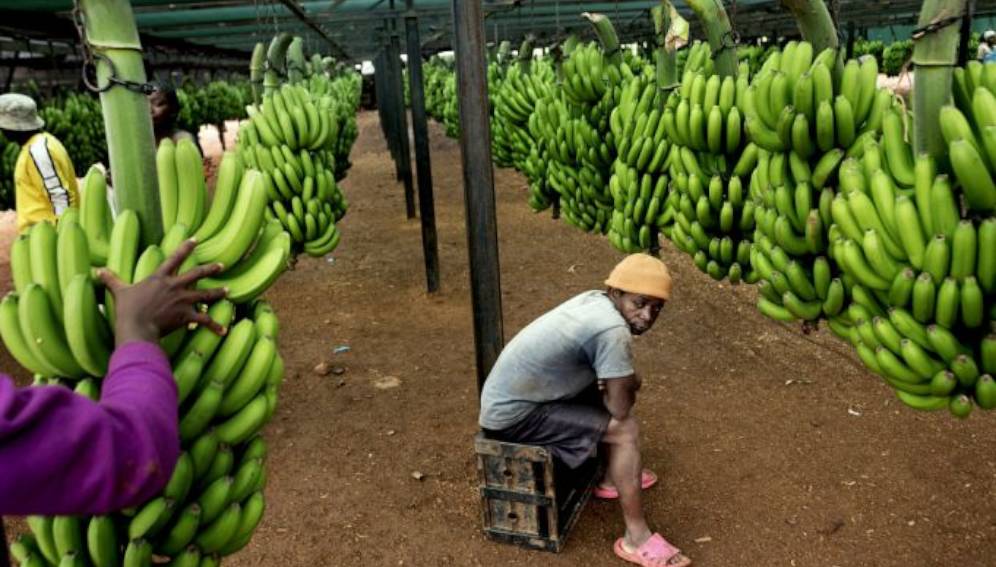 ECOWAS intensifies efforts to ensure biosafety in West Africa