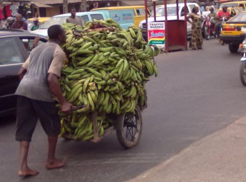 There is still dignity in labour