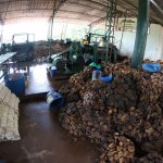 rubber processing plant