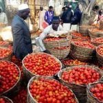 Consumers squeezed as tomato prices double