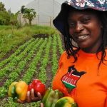 Generation Africa: Inspiring young Africans to become Agri-Food entrepreneurs