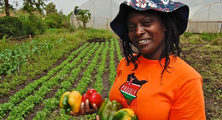 Generation Africa: Inspiring young Africans to become Agri-Food entrepreneurs