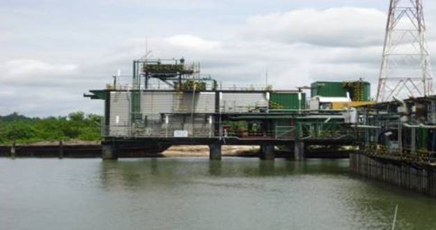 Neconde Energy appoints Emenike as gas business head