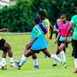 France 2019: Super Falcons shift focus to Korea Republic game