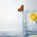 Managing the hopes of seriously Ill patients