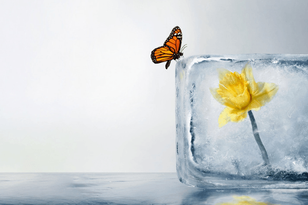 Managing the hopes of seriously Ill patients