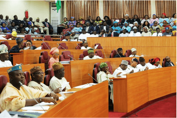 Newly elected house member targets bills on youth empowerment and development