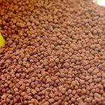 Investing in fish feeds (pellets) production
