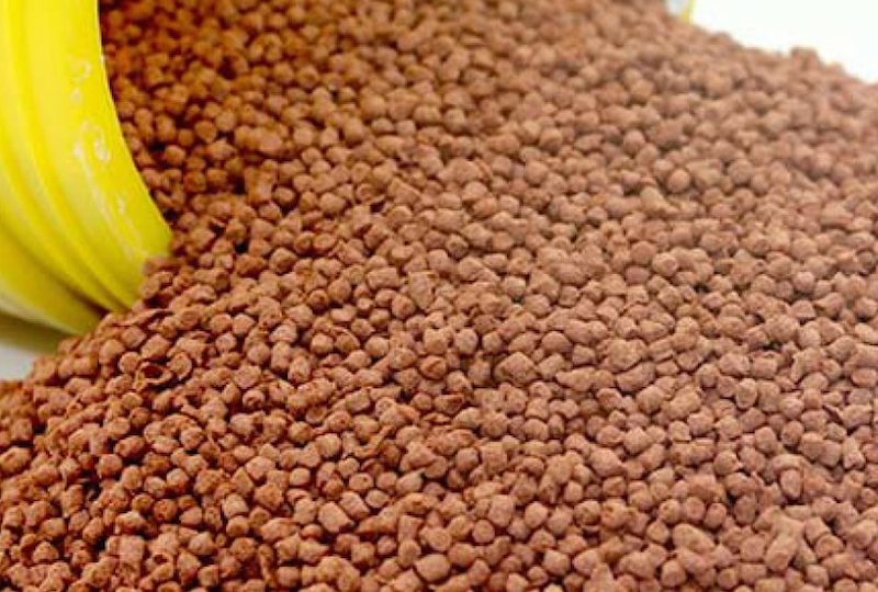 Investing in fish feeds (pellets) production