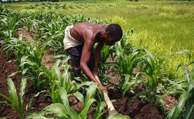 Agric investment