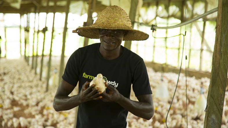 Farmcrowdy merges subsidiaries to boost efficiency, deepen market penetration