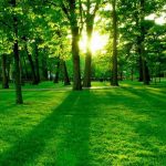 Lagos pledges support for Green projects at PAC Environmental Forum