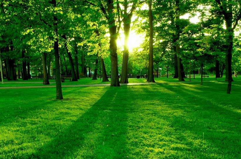 Lagos pledges support for Green projects at PAC Environmental Forum