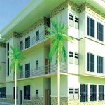 Lessons for Nigeria from Gambia on ways to build cheaply, profitably