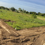 Gambia woos Nigerian investors, offers tax-free incentives, unfettered access to land